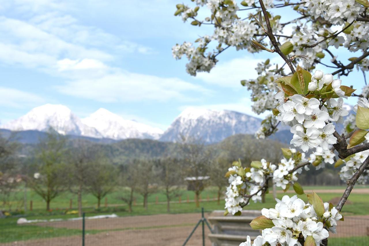 Lesnavesna Designer Apartment With A Garden Visoko  エクステリア 写真